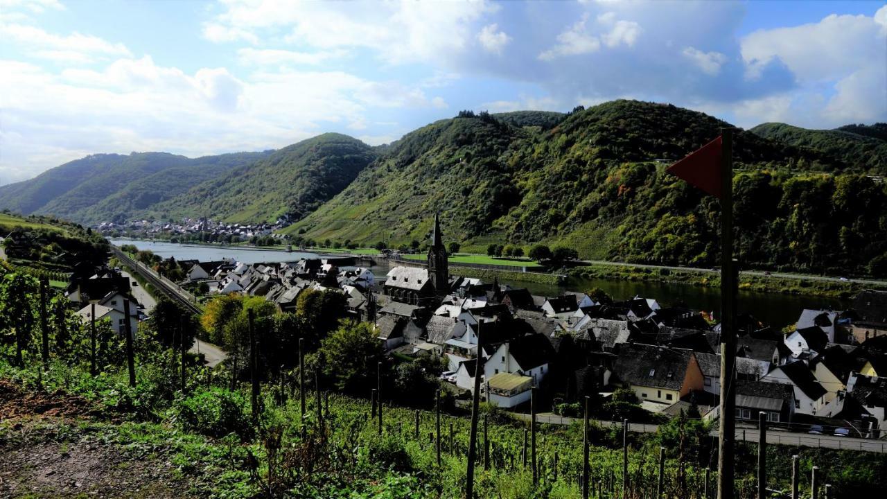 Ferienhaus Erich Bremm Mit Moselblick Neef Extérieur photo